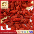 Healthy Hot Sale China Dried Goji Berry